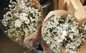 Without filler and greenery, flowers bouquet is not that much attractive. Know Some Widely Used Flower Fillers