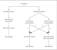 Figure 1 From Pediatric Intracerebral Hemorrhage Acute