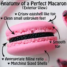 Anatomy Of A Perfect Macaron