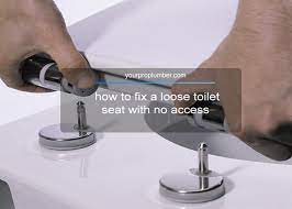 How To Fix A Loose Toilet Seat 4 Easy