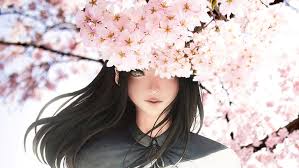 beautiful anime sakura cherry