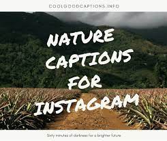 The real voyage of discovery consists not in seeking new landscapes but in having new eyes marcel proust. 101 Cute Nature Captions For Instagram Added Scenery Quotes