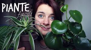 Le piante esotiche non hanno un uso particolare. 6 Piante Da Appartamento Facili Youtube