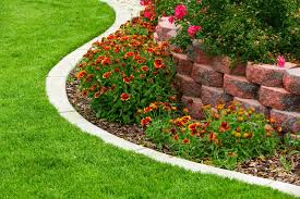 Edging Plants Or Border Plants For