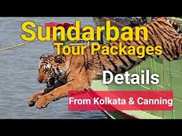 sundarban tour package holiday house