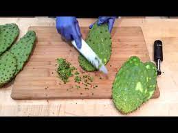 how to prepare nopales cactus pads
