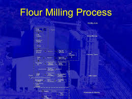 Flour Milling Plant Design