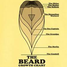 25 Best Man Beard Images In 2014 Full Beard Beard Love