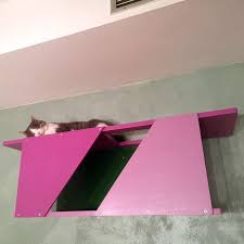 Big Cat Sharp Tunnel Cat Shelf Cat