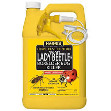 Harris 1 Gal Asian Lady Beetle And Box