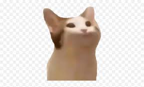 After that a video with this cat chirping at bug but with photoshop was posted on ifunny and became. Popcat Meme Gif Bop Cat Meme Png Cat Meme Icon Free Transparent Png Images Pngaaa Com