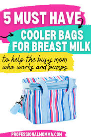best t milk cooler bags for