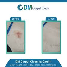 d m carpet clean cardiff floor