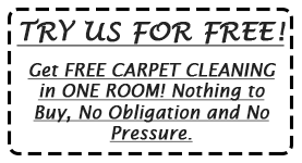 square feet of free mi carpet cleaning