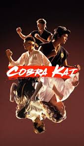 This time i am coming with badass cobra kai wallpaper it features: Cobra Kai Wallpaper Karate Kid Cobra Kai Cobra Kai Wallpaper Kid Cobra