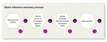 Disability Loop Ndis Review And Appeals Flow Chart