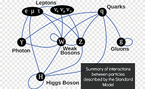 Física de partículas el modelo estándar de partículas de dios higgs boson,  ciencia, ángulo, texto png | PNGEgg