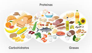 diferencias entre carbohidratos grasas
