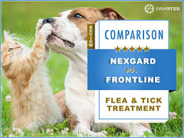Nexgard Vs Frontline Our 2019 In Depth Comparison