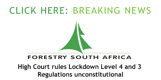 8 green and 8 orange spelling rule cards from level 4 note: 31 July High Court Rules Lockdown Level 4 And Level 3 Regulations Unconstitutional Forestry South Africa Official Site