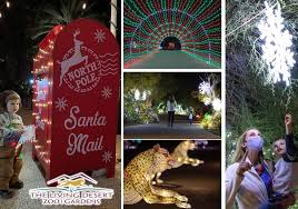 When a football team's mascot (a dolphin) is stolen just before the superbowl, ace. The Living Desert Zoo And Gardens Lights Up With Wildlights Nights Macaroni Kid Camarillo Ventura Oxnard