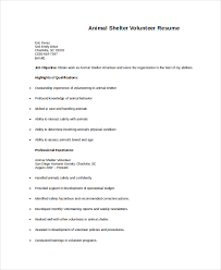 Examples Of Volunteer Activities Charity Resume Template Resume    