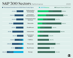 s p 500 sector performed in 2020