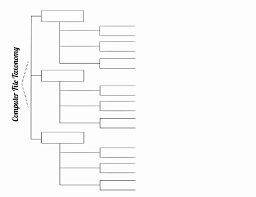 Blank Organizational Chart Template Beautiful File