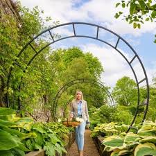 Decorative Metal Garden Arches Harrod