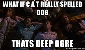 Image result for what if cat really spelled dog