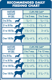 Important Feeding Chart For Dogs Dog Feeding Organic Dog