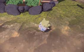How to catch Togepi in Pokemon Legends: Arceus