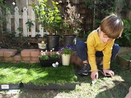 Plants For Your Child S Fairy Garden