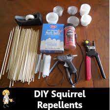 squirrel repellents diy project the