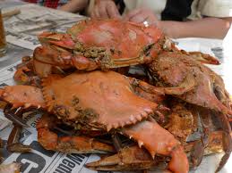 Sizing Changes Coming For Maryland Blue Crabs The Crabwrapper