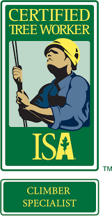Arborists become certified through the international society of arboriculture (isa). International Society Of Arboriculture Credentials Types Of Credentials Isa Certified Tree Worker Climber Specialist