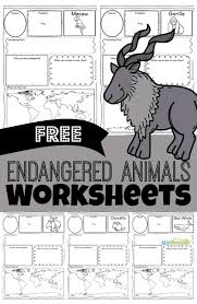 You know spider is unable to chew up anything. Free Endangered Animals Worksheets