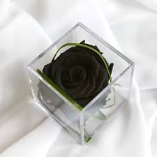 real black eternal rose cube petals