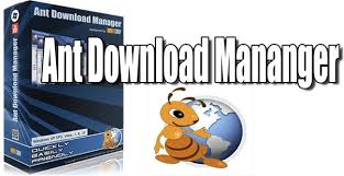 Ant Download Manager Pro 2.4.0 Crack