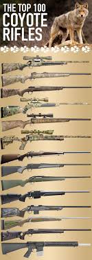 The Best Coyote Gun 100 Top Varmint Rifles Predator