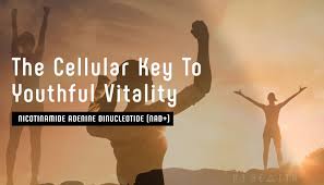 What is The Cellular Key To Youthful Vitality? - R3 Health