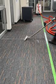 professional carpet cleaning cleaning