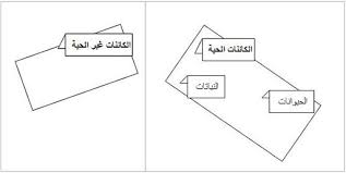 هي المجوعة الكبرى التي تصنف بها المخلوقات الحية هي