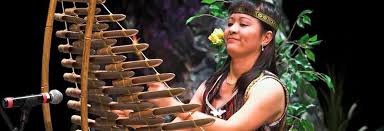 Traditional vietnamese musical instruments are the musical instruments used in the traditional and classical musics of vietnam. T Rung A Traditional Folk Musical Instrument In Vietnam