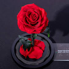 single red forever rose rose in gl