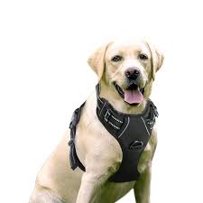 Details About Rabbitgoo Dog Harness No Pull Pet Harness Adjustable Pet Vest 3m Black L