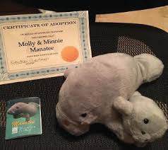 Thinking and searching for unique and meaningful names can be an ordeal for many but we are here to help you out with an extensive. Join Friends Of Lovers Key Adopt A Manatee Program Bonita Springs Florida Weekly