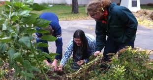 5 ways gardens support learning