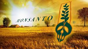 Resultado de imagen para monsanto