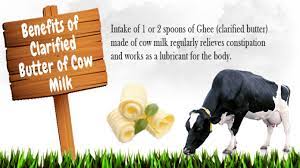 Benefits of Eating Clarified Butter of Cow Milk | Ayur Health Tips